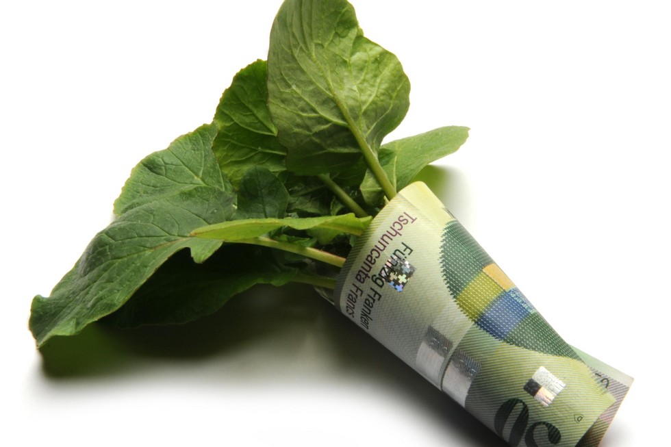 grüne Pflanze eingewickelt in eine Fünfzig-Franken-Note
