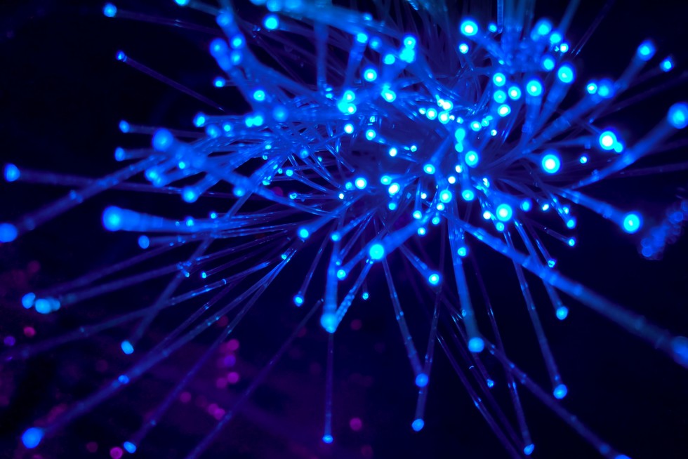 3D Netzwerk