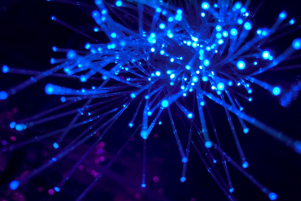 3D Netzwerk
